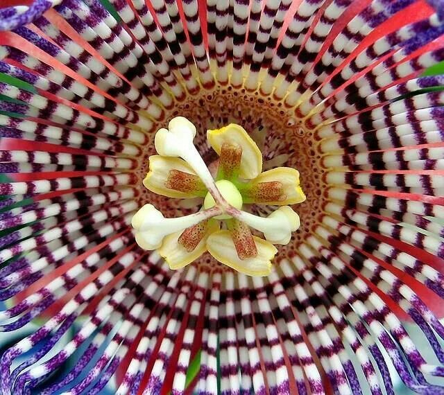 Dia yang Maha Menciptakan Kesempurnaan