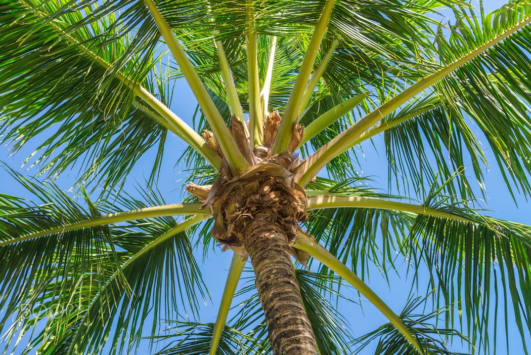 Kehidupan Mereka yang Beriman dan yang Tersesat