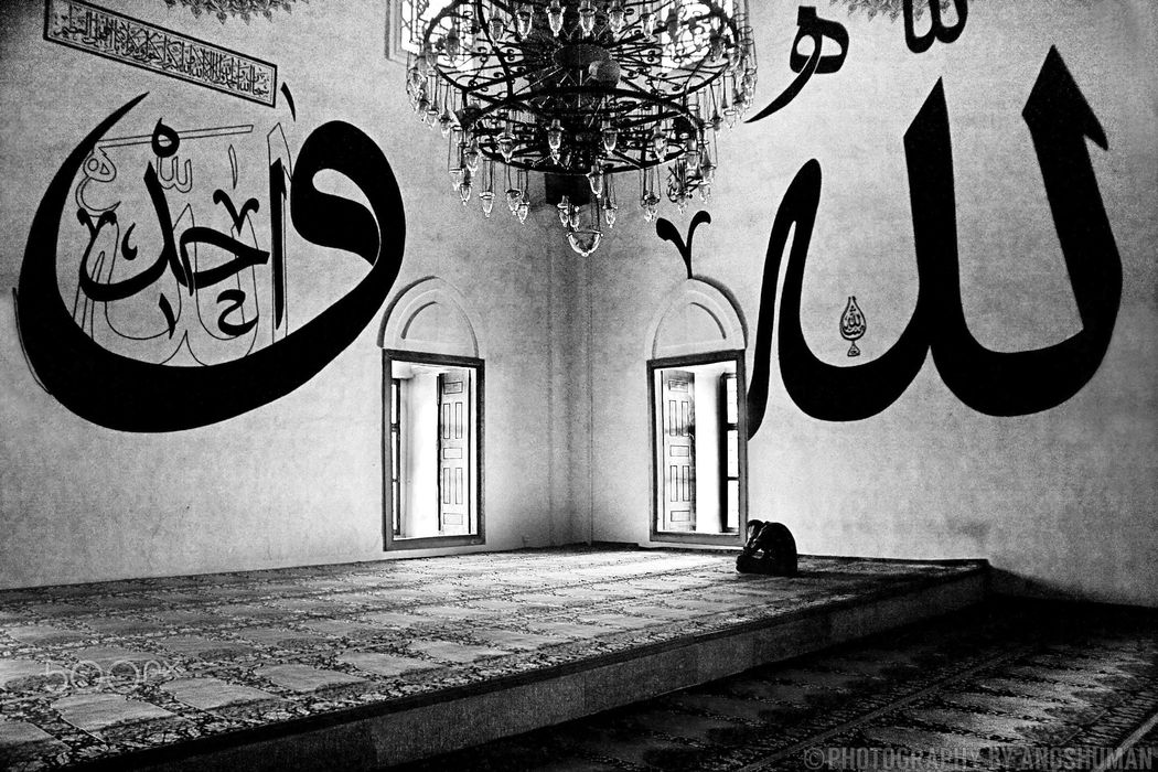 Segera Bertaubat dan Beramal