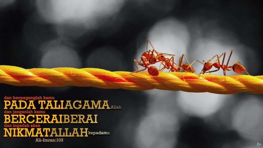 Berpegang pada Tali Allah, Menjaga Persatuan dan Bersyukur